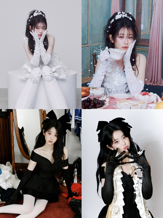 티브이데일리 포토