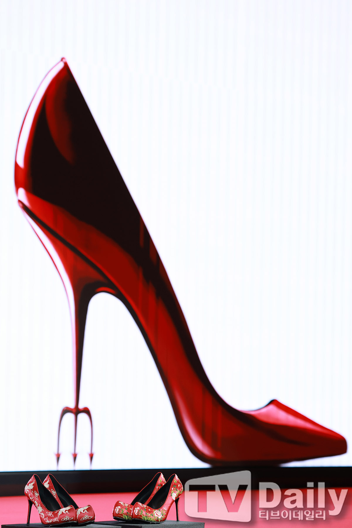 티브이데일리 포토