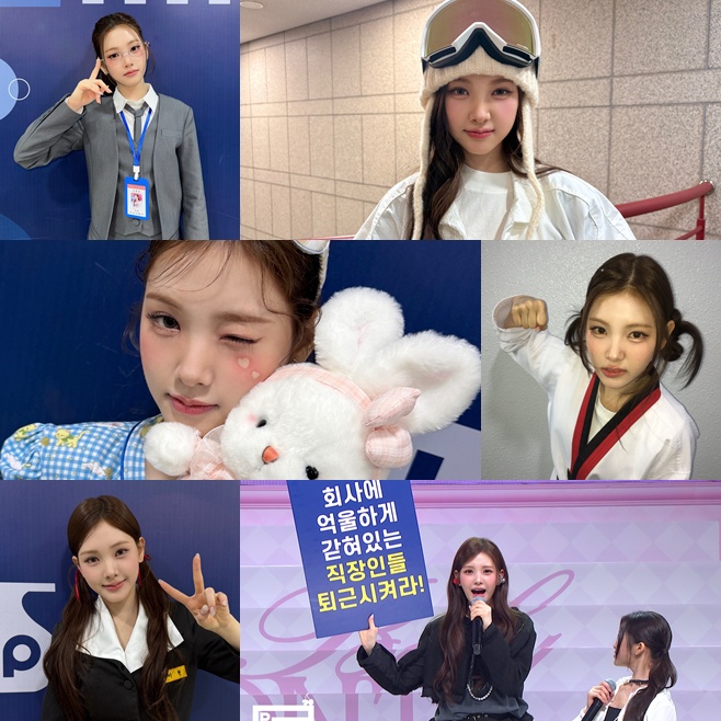 티브이데일리 포토