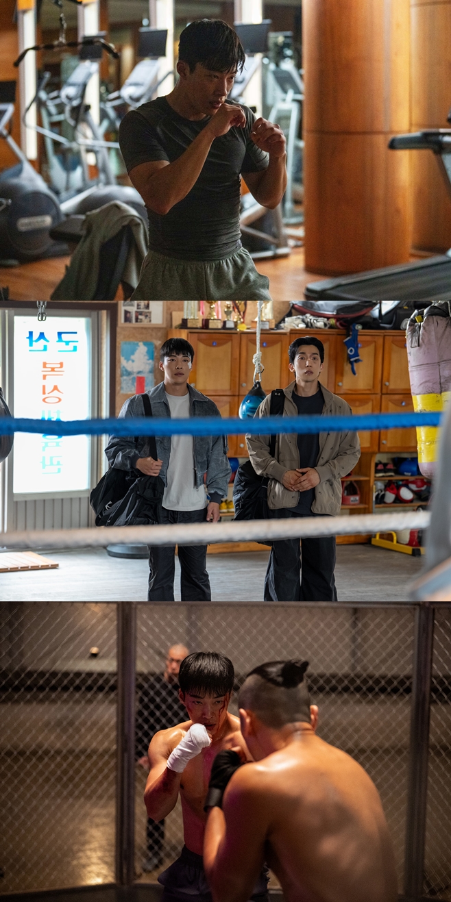 티브이데일리 포토