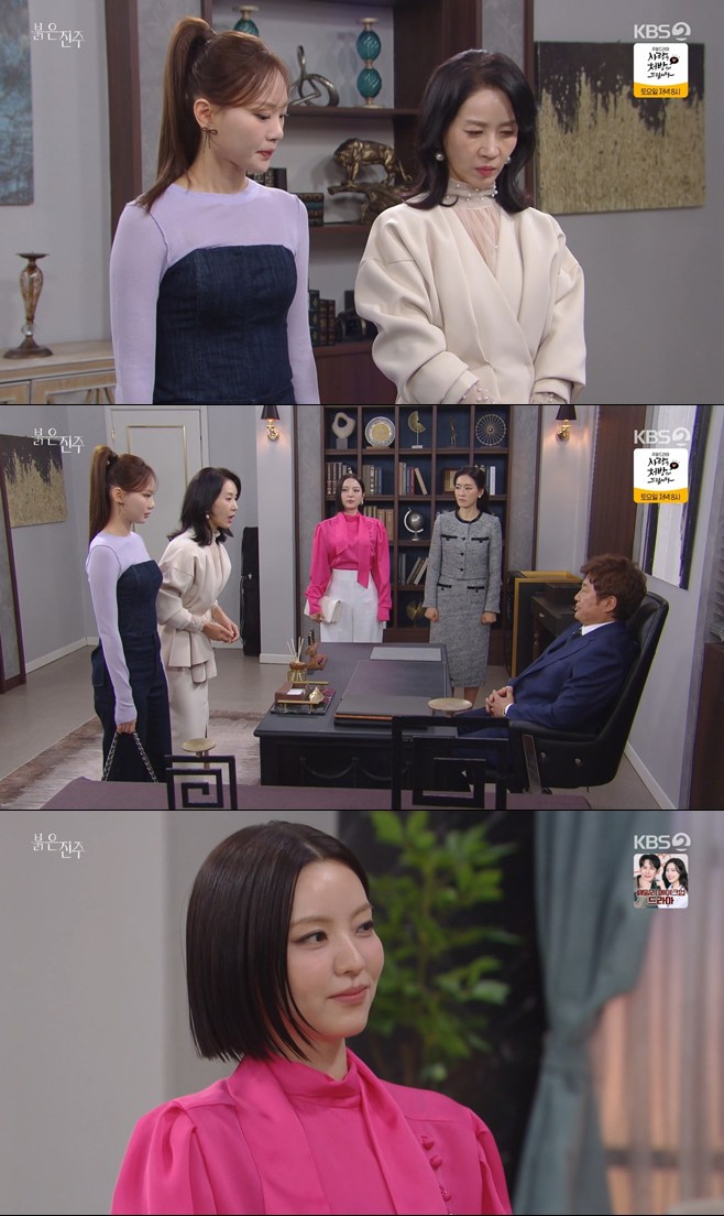 티브이데일리 포토