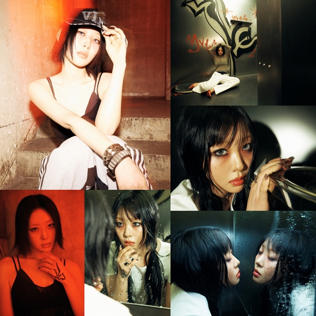 티브이데일리 포토