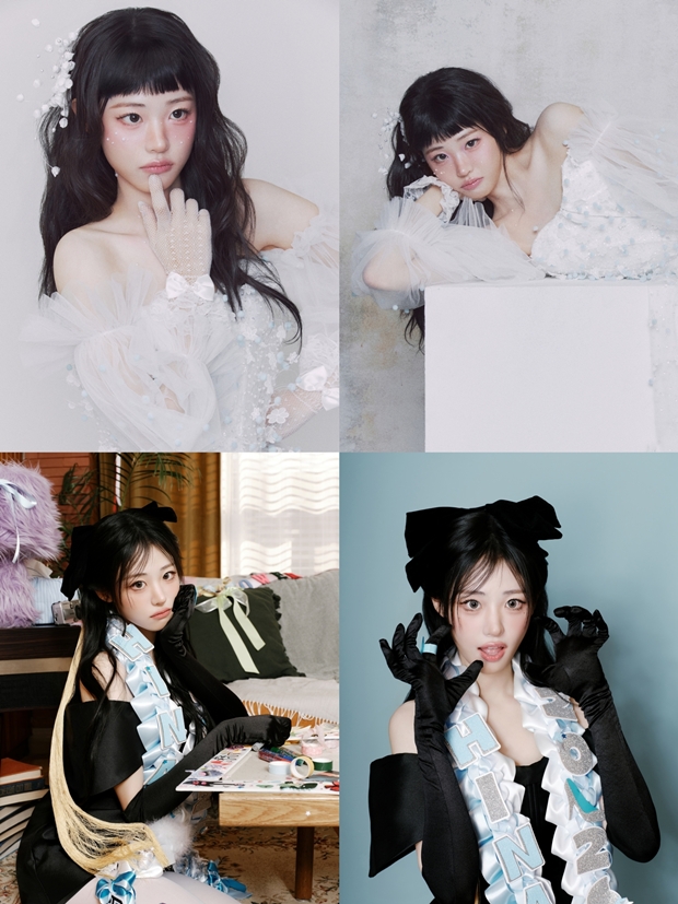 티브이데일리 포토