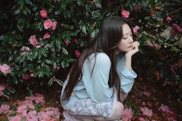티브이데일리 포토