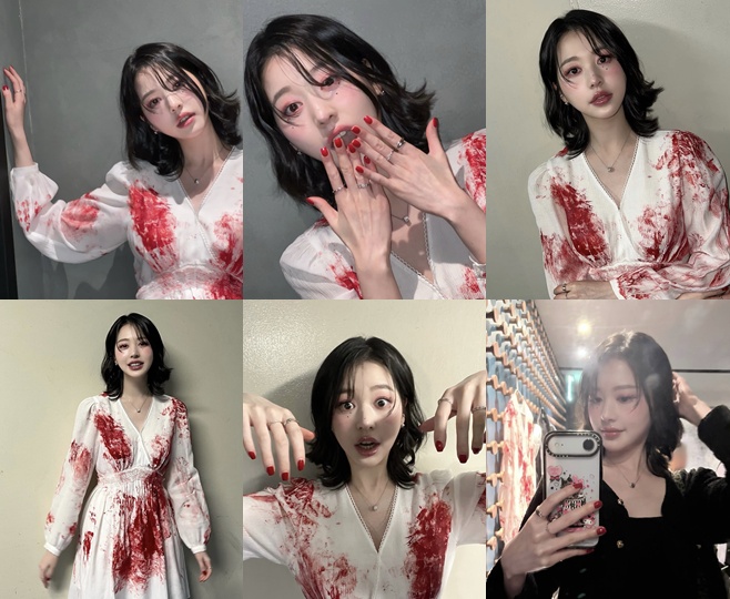 티브이데일리 포토