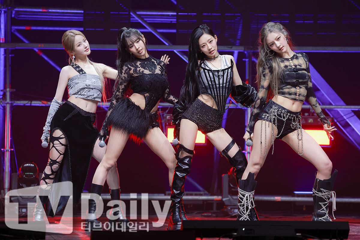 티브이데일리 포토
