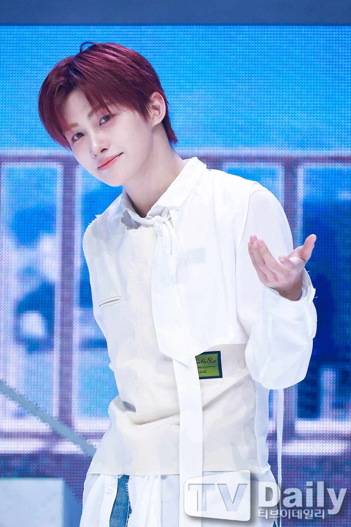 티브이데일리 포토