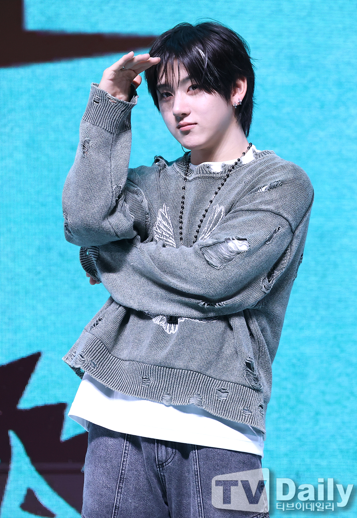 티브이데일리 포토