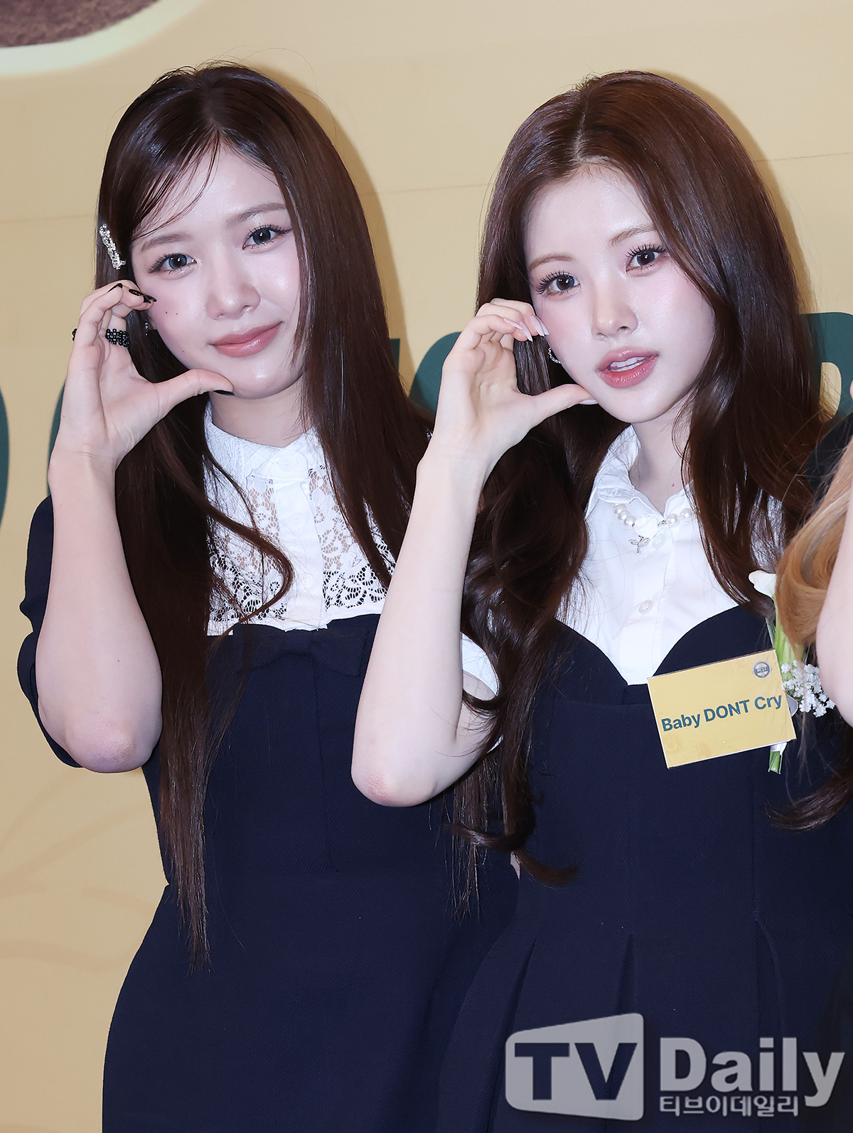 티브이데일리 포토