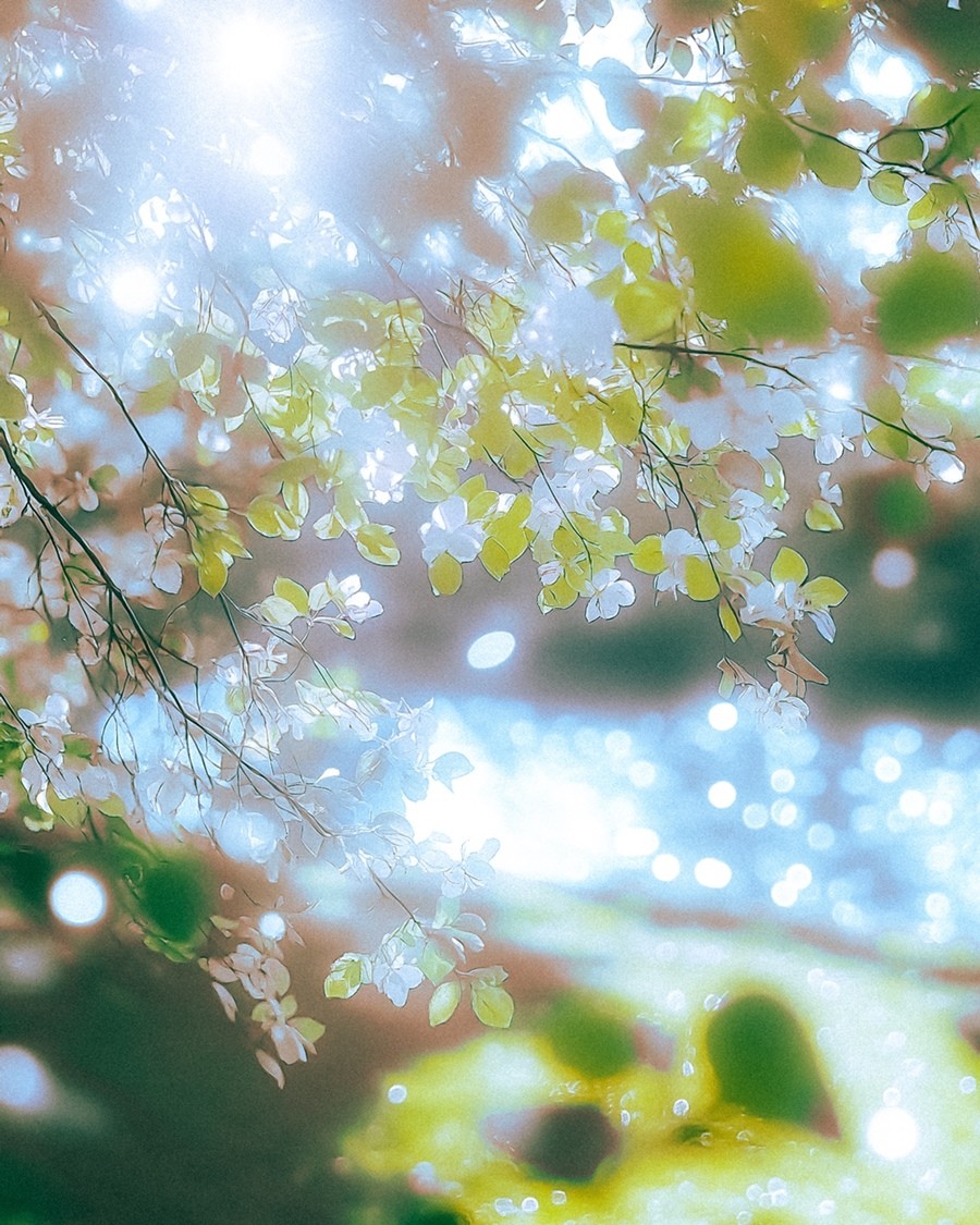 사진=아메바컬쳐