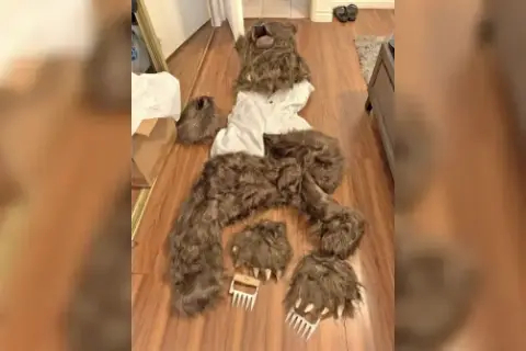 引用：カリフォルニア州保険局