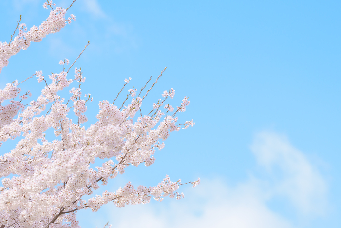 ⓒ게티이미지뱅크