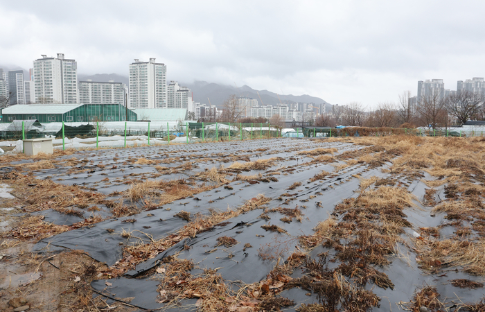 정부가 전국 농지 소유자를 대상으로 처음으로 전수조사를 벌이는 방안을 추진 중인 가운데 지난 달 2일 수도권 내 한 농지 너머로 아파트 단지 등 재개발 구역이 들어서 있다. (사진=연합뉴스)