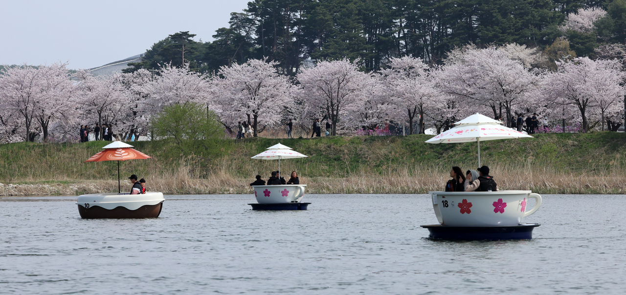 Spring Blossoms: Top 10 Cherry Blossom Spots in South Korea You Must Visit in 2026