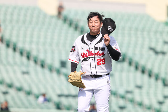 引用：写真