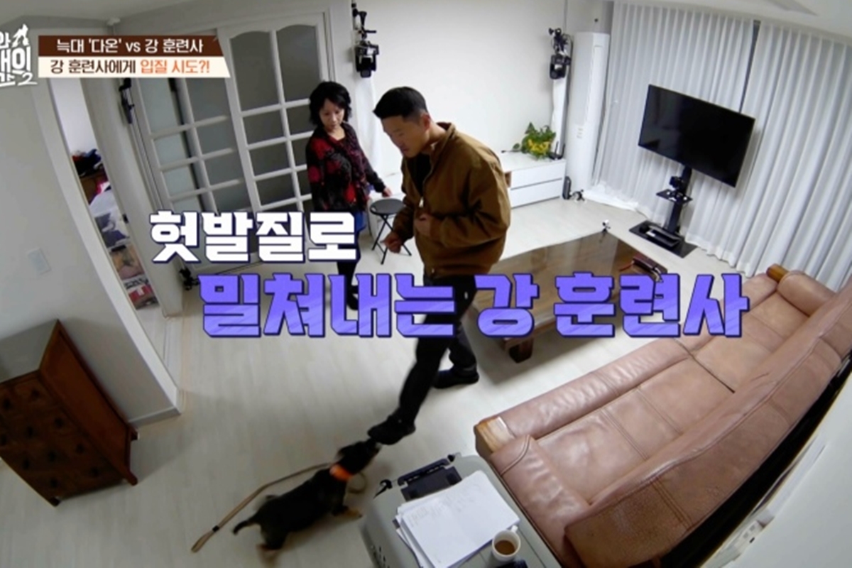 출처: 채널A '개와 늑대의 시간2'