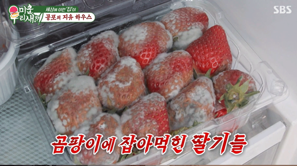 출처 : SBS '미운우리새끼'