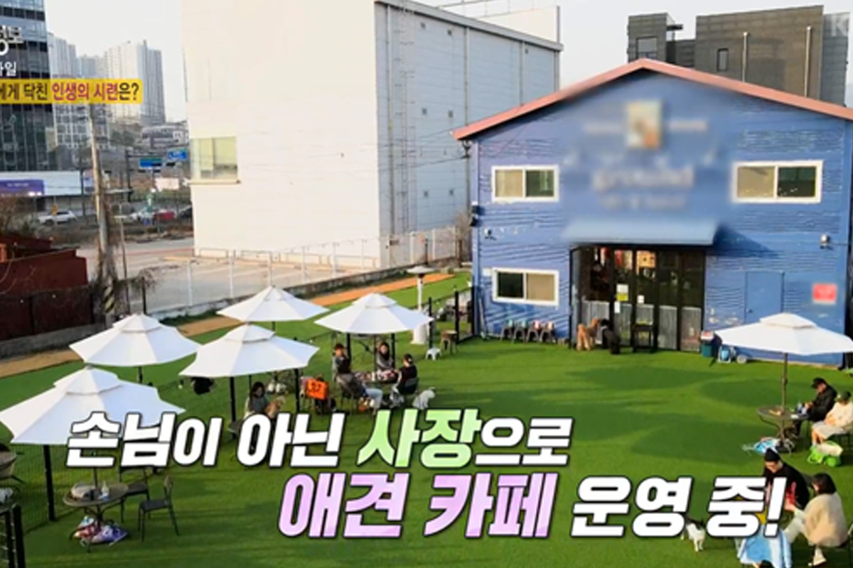 출처 :  KBS2 ‘2TV 생생정보’