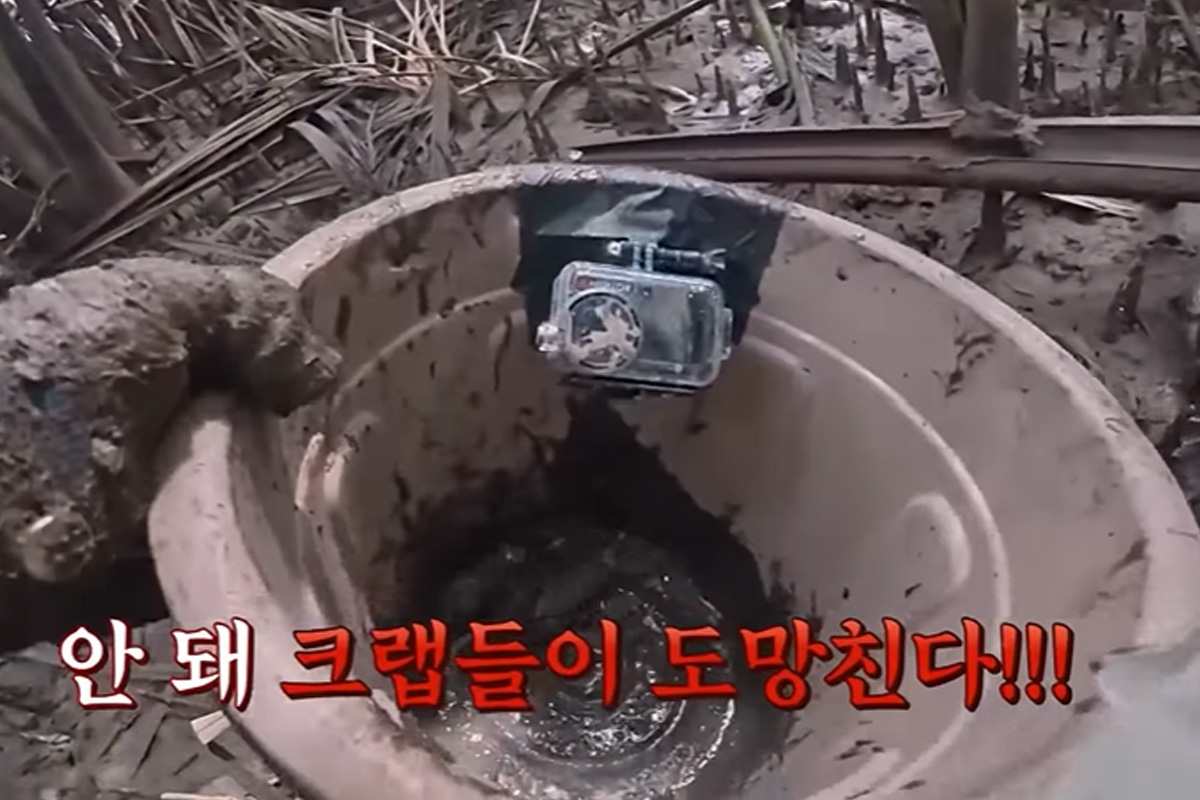 출처 : tvN ‘언니네 산지직송 in 칼라페’ 