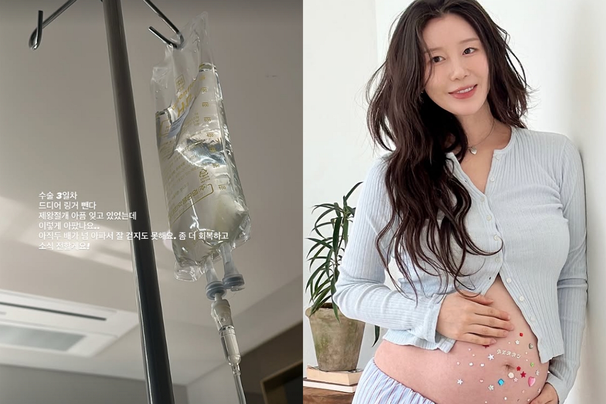 출처: 나비 SNS