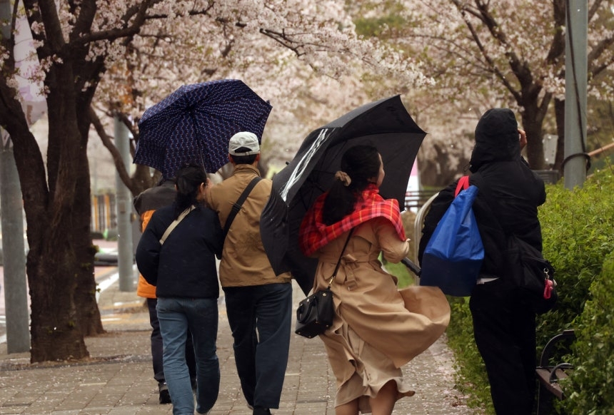 지난해 서울 여의도 윤중로에서 시민들이 우산을 쓰고 걷고 있다. 연합뉴스