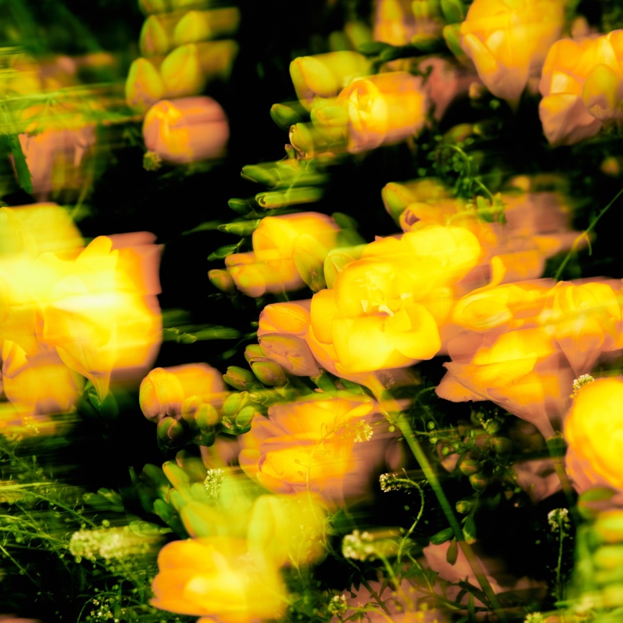 사진: 오드엔터테인먼트 제공