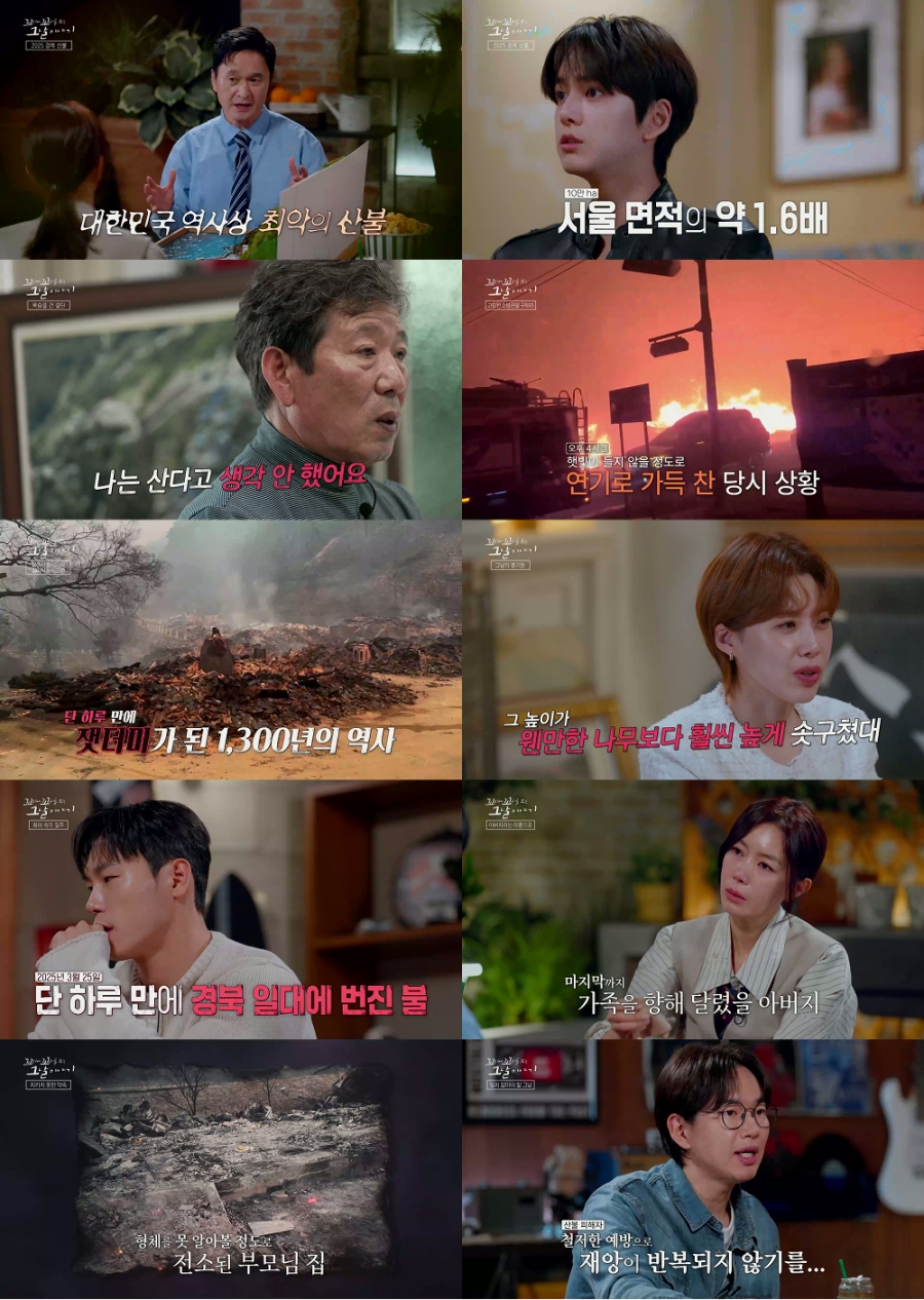 사진: SBS 제공