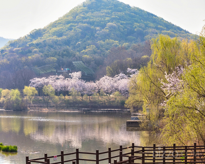 引用：写真