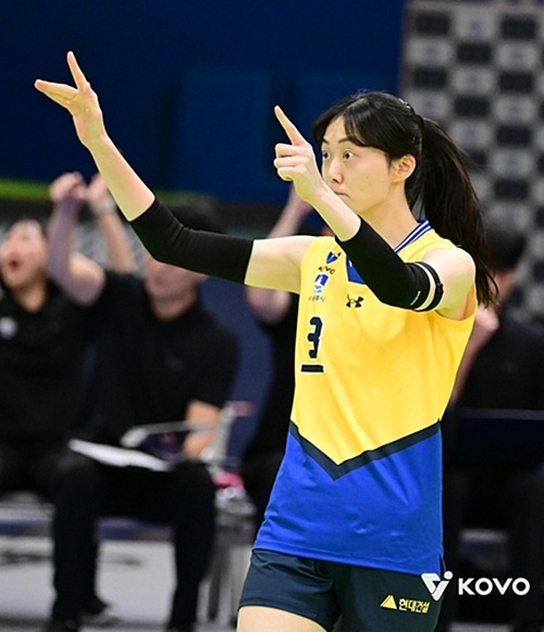 현대건설의 주전 세터로 활약한 김다인/사진=한국배구연맹