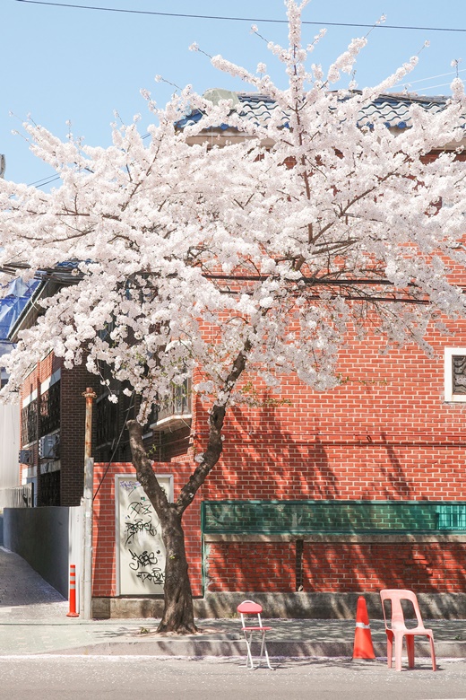 사진=유토이미지