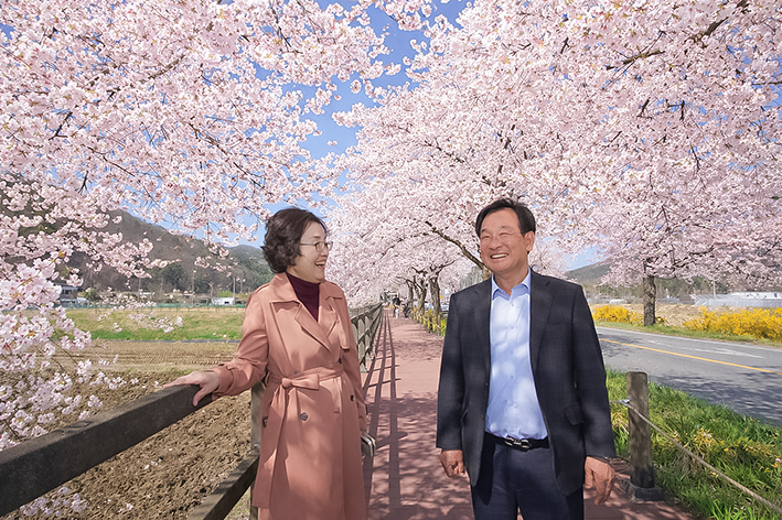 Cheonan Wirye Cherry Blossom Festival Committee