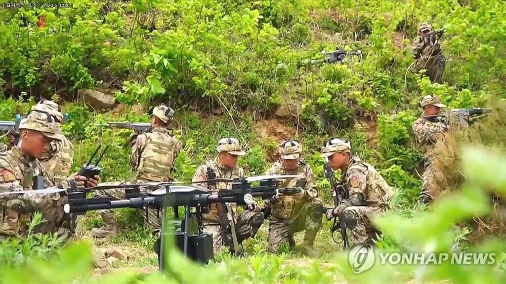 North Korean drone / Source: Yonhap News Agency