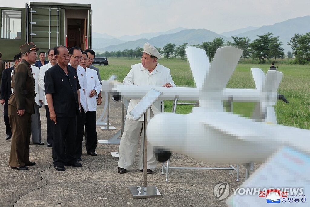 North Korean drone / Source: Yonhap News Agency