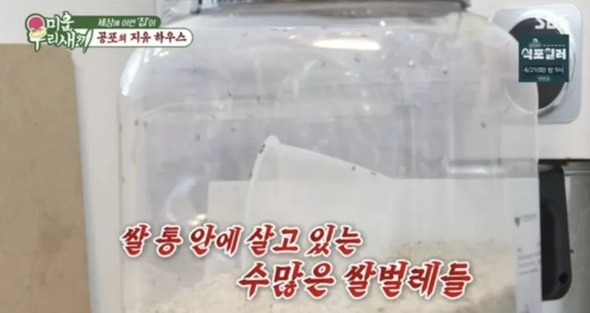 引用：SBS『アラフォー息子の成長日記』