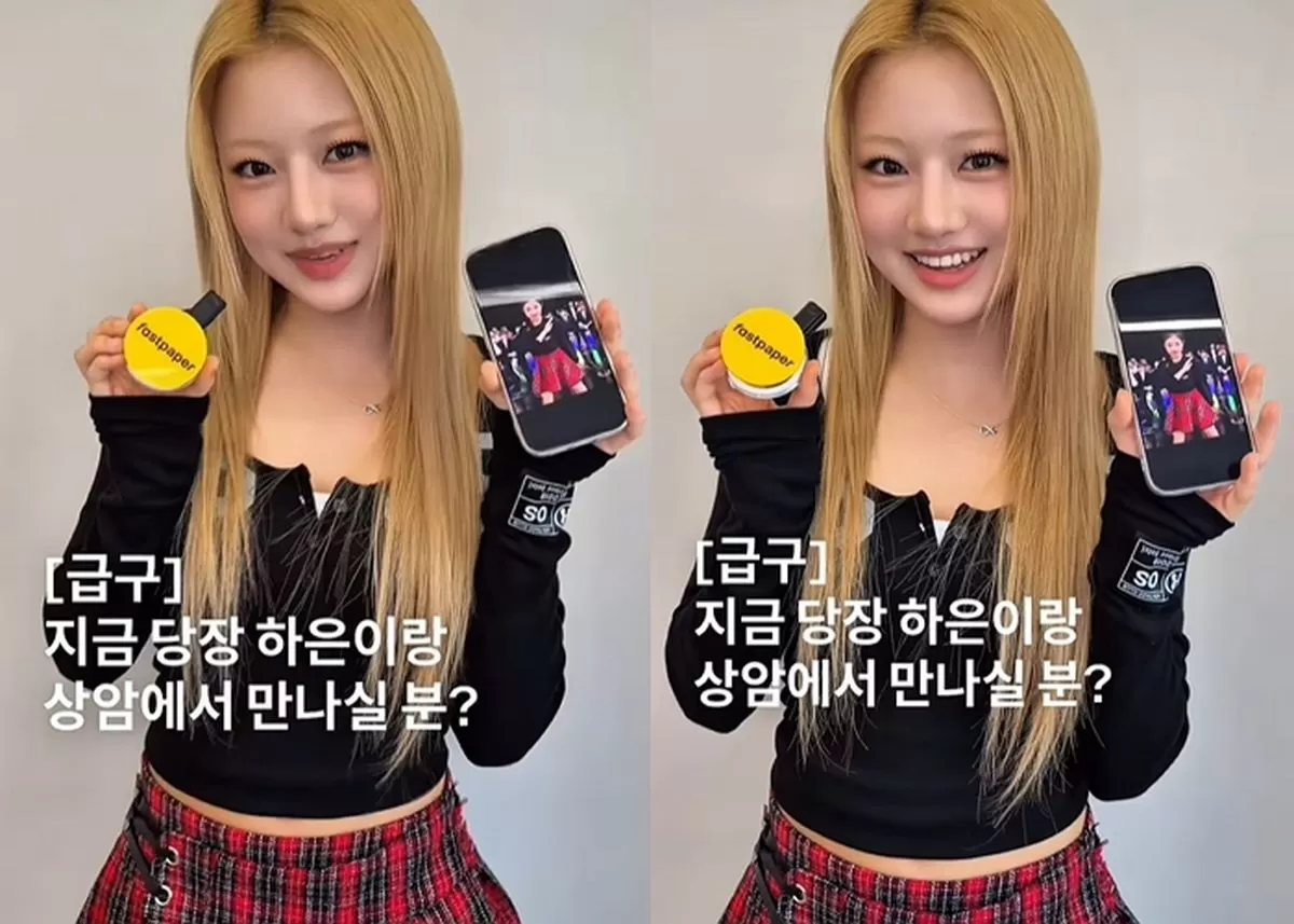 引用:インサイト