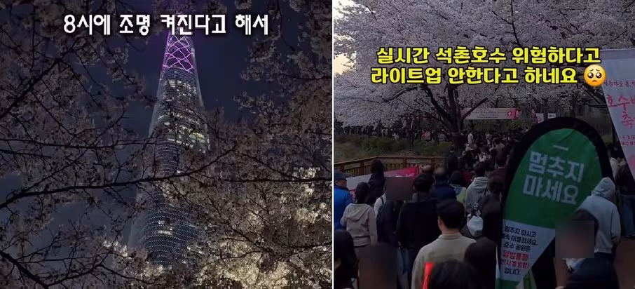 6일 소셜미디어(SNS) 인스타그램에 석촌호수 벚꽃축제 야간 점등 취소에 대한 아쉬움을 나타낸 게시물이 올라와 있다. /인스타그램 캡처
