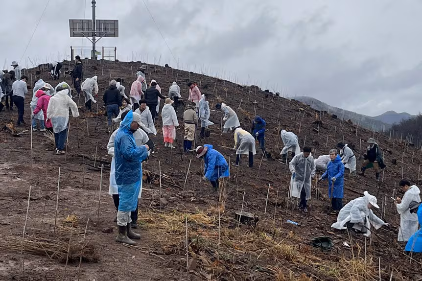 지난 4일 오전 경북 안동시 풍천면 어담리 야산에서 자원봉사자들이 '안동 산불 피해지 복원 나무 심기 행사'에 참여하고 있다. /사단법인 평화의 숲 제공