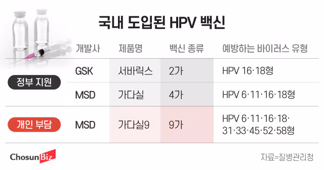 그래픽=정서희