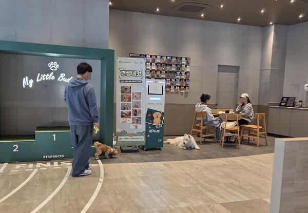 반려동물 동반 출입을 허용하는 스타벅스 ‘더북한강R점’. 예방접종이 완료된 반려동물만 이용할 수 있도록 체크하고 있으며, 실내와 실외 파크장 시설물을 갖춰 운영중이다. / 이선율 기자