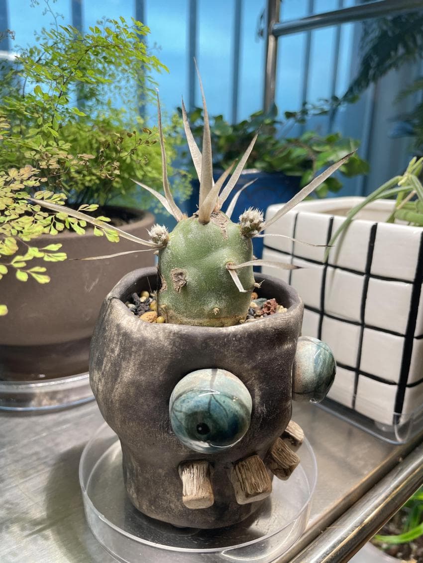 06bcdb27eae639aa658084e544877469b4134faaf3134e23fd6f4097c34786b2892e891d8cc619504b1b271fbe1f6407