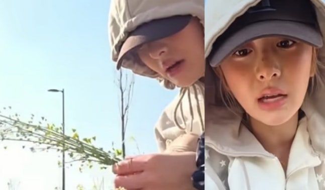 引用:SNSアカウント