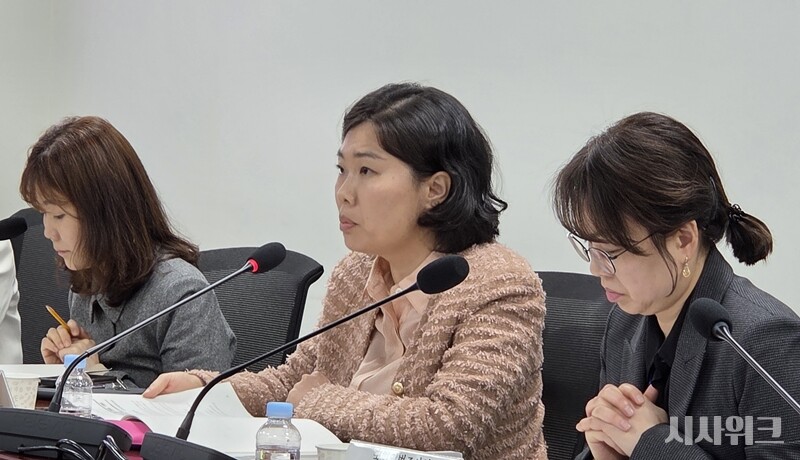 7일 국회에서 진행된 '영케어러 관점에서 본 위기아동청년법 시행의 쟁점과 과제' 토론회에서 함선유 한국보건사회연구원 부연구위원이 발표하고 있는 모습이다. / 사진=이민지 기자