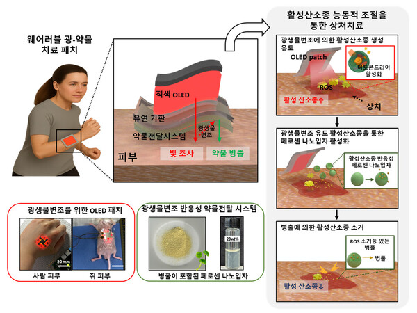 OLED 패치를 이용한 광-약물 복합 치료 모식도. [사진: KAIST]