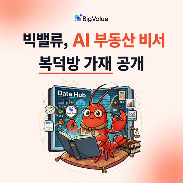 [사진: 빅밸류]