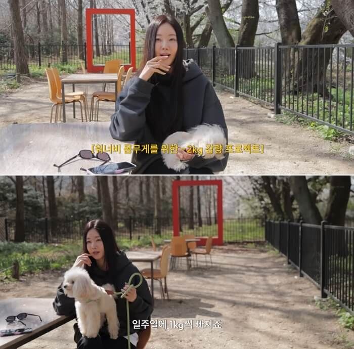 애니멀플래닛