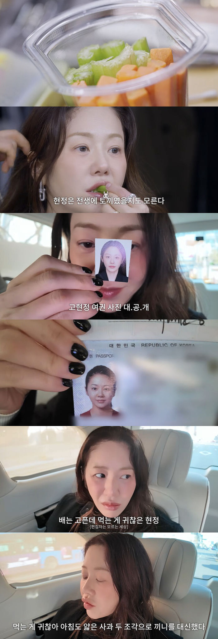 애니멀플래닛