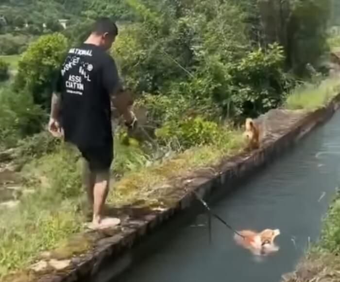 애니멀플래닛