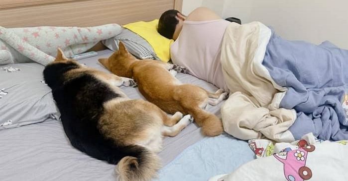 애니멀플래닛