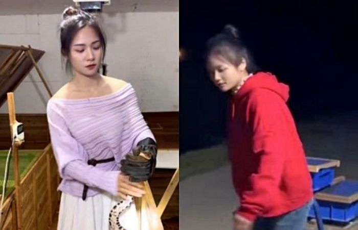 애니멀플래닛