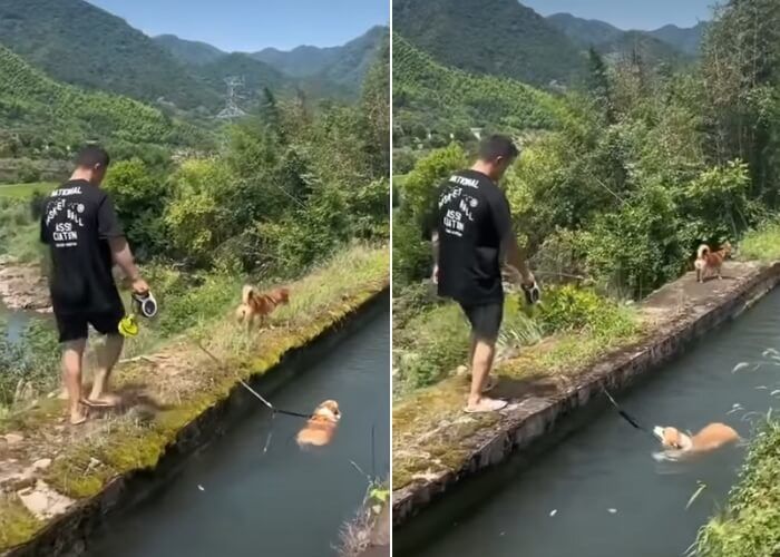 애니멀플래닛